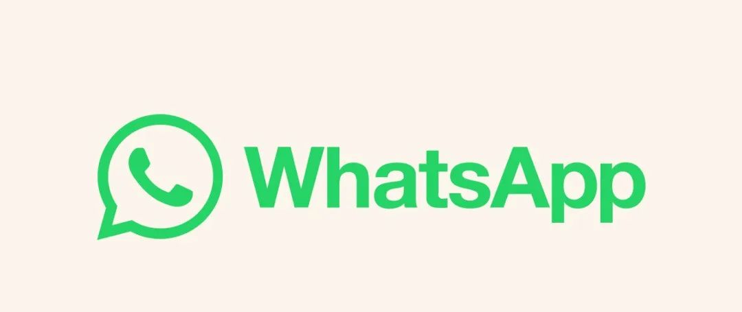 电脑WhatsApp突然打不开？试试这5个急救方法