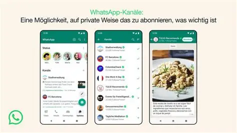 WhatsApp官网下载及网页版使用指南 - 跨境电商运营全流程技巧