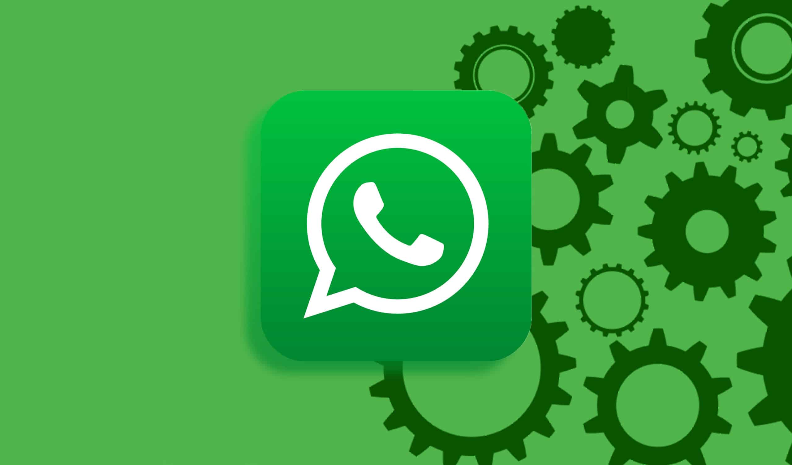 电脑用WhatsApp会同步手机消息吗?3种官方方法实测